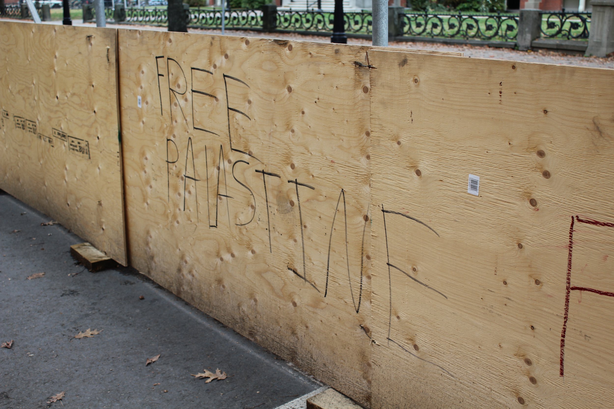 free palestine NB 2025.jpg