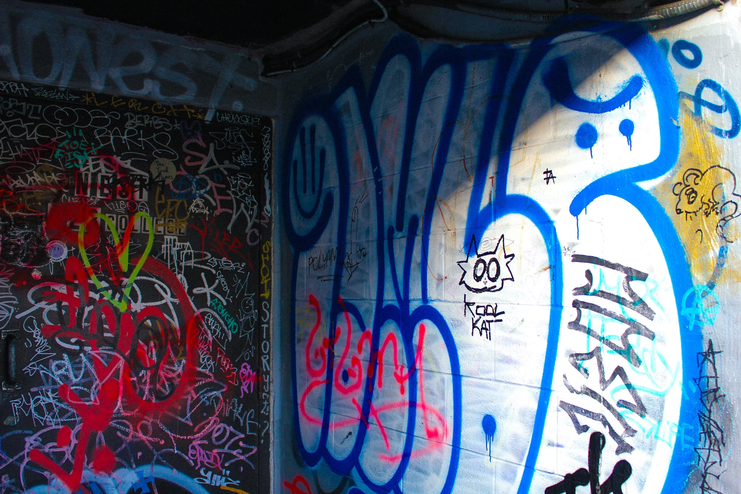 20260108_214511800_iOS 1.jpg