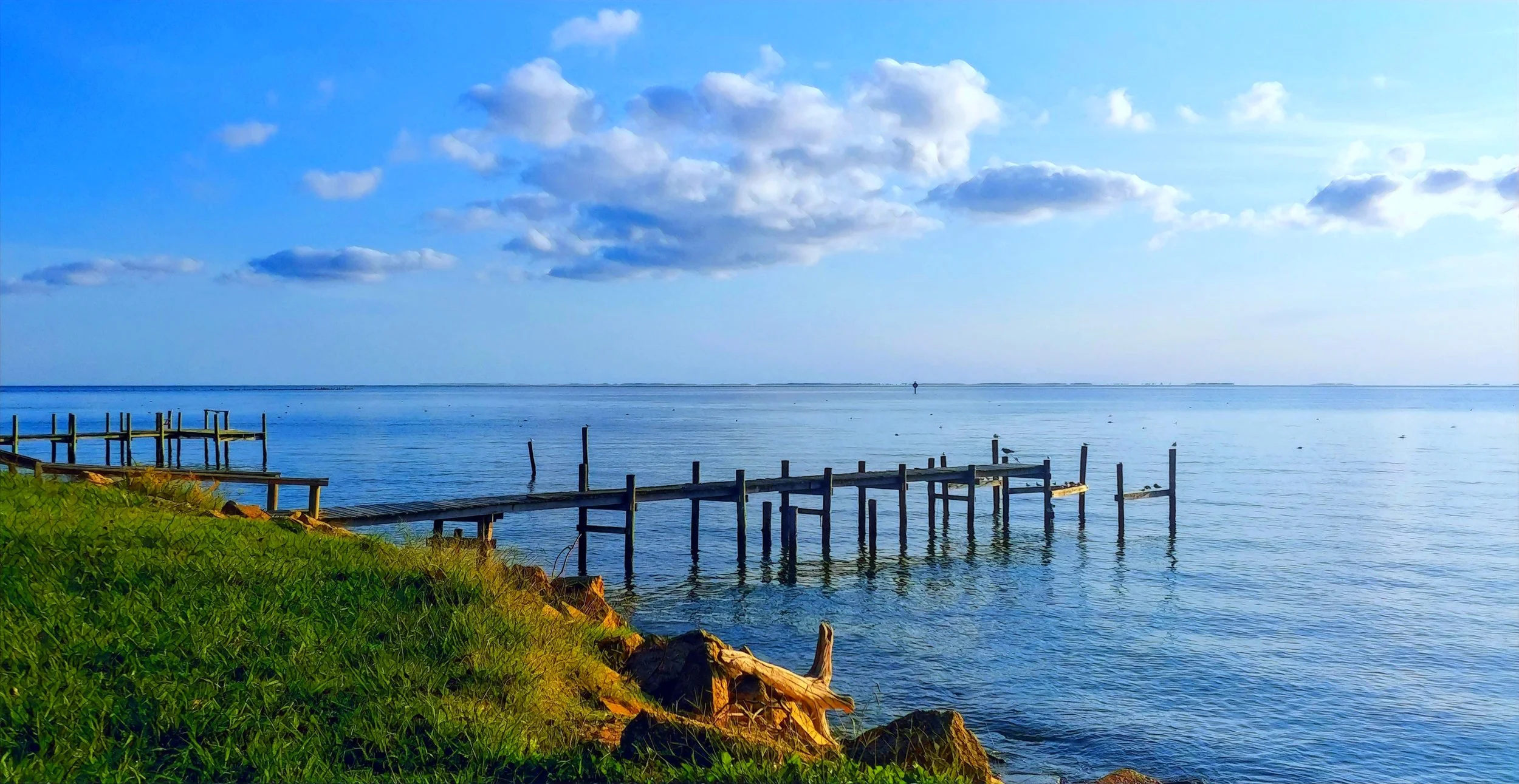 Fishing in Maryland and the East Coast