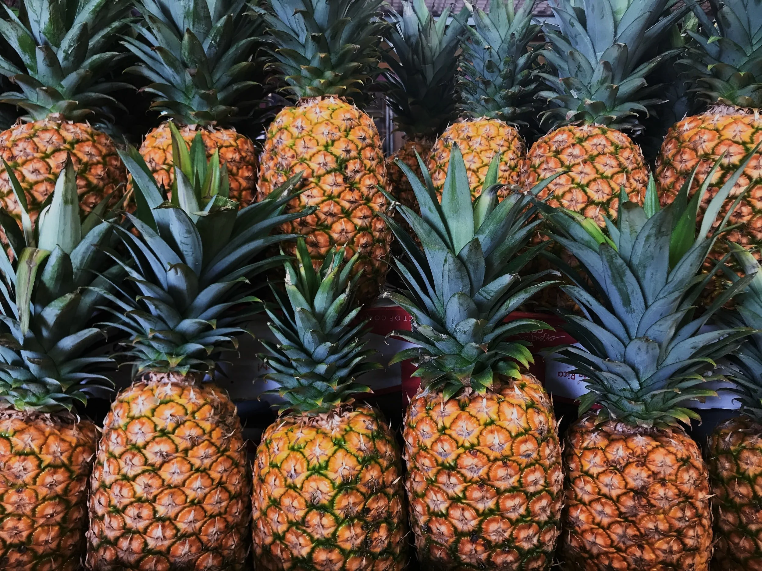 Pineapple Peel as a Renewable Energy Source
