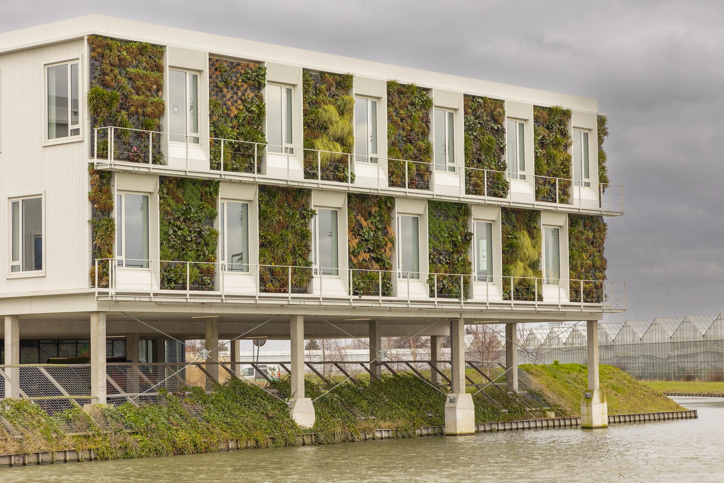 Building a Sustainable Future: Harnessing the Power of Plankton and Seagrass for Affordable Housing