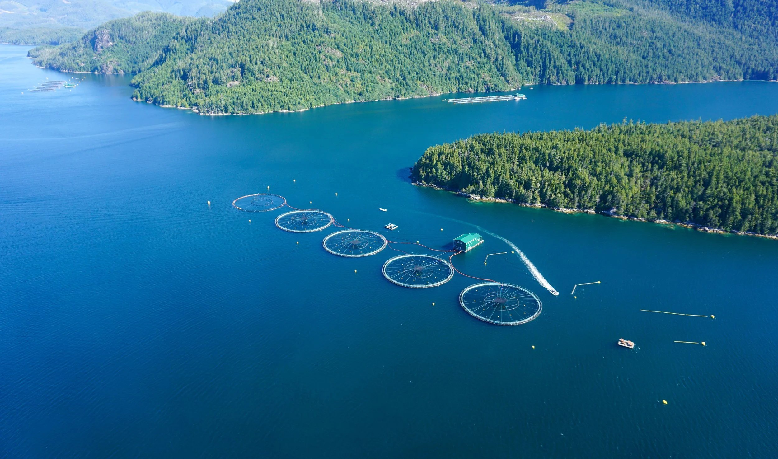 Fishing Trends for the Next 20 Years: A Deep Dive Into the Future of Aquaculture