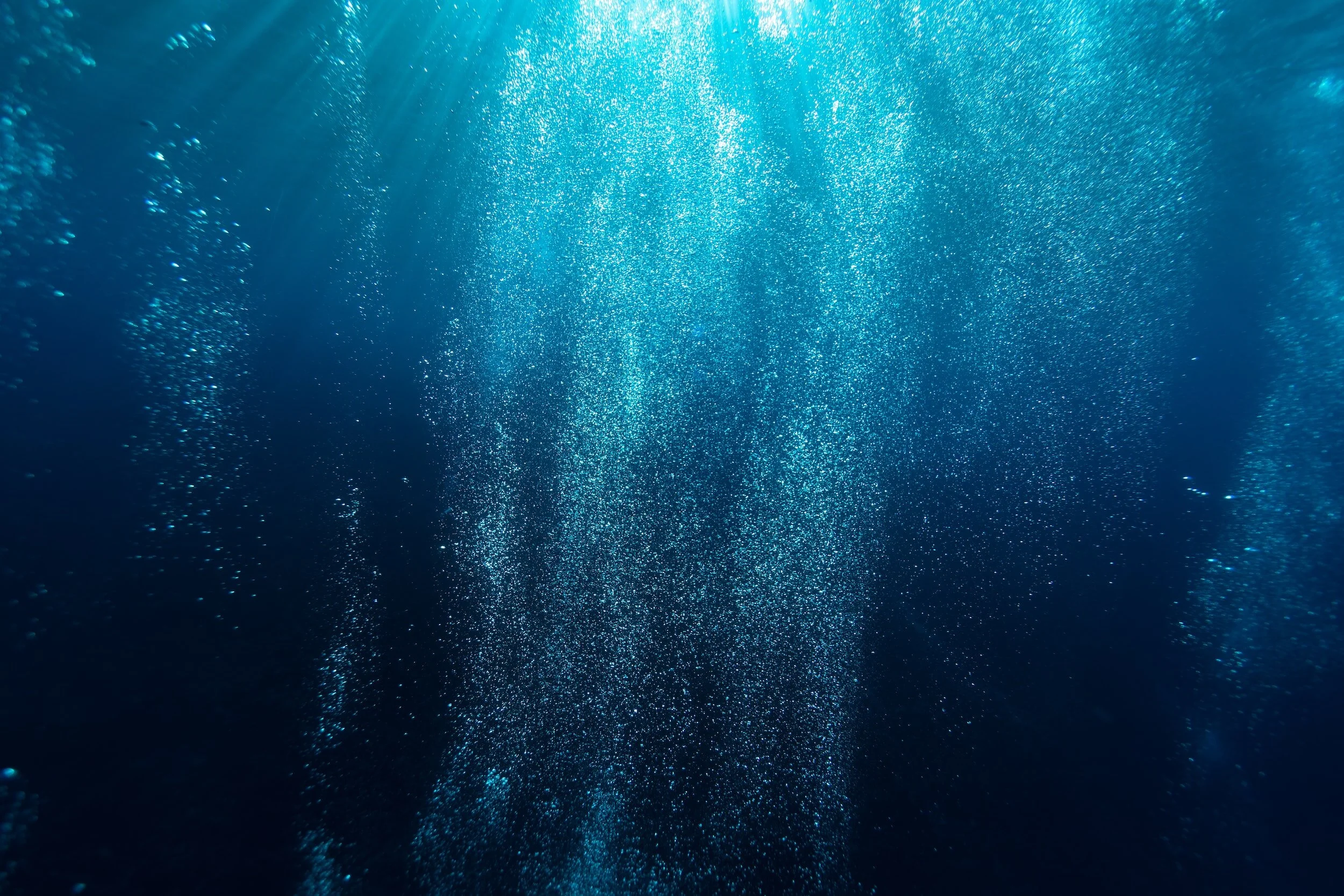 Exploring the Depths: How Healthcare Companies Study Autism from the Ocean