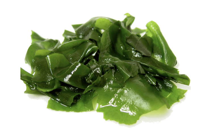 Screenshot 2023-06-14 at 3.31.27 PM.png