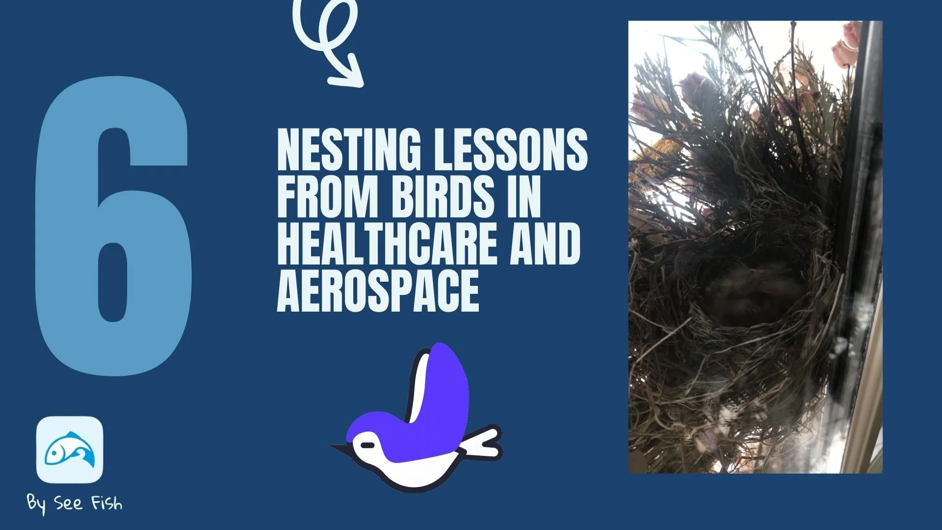 The Art of Nesting: Lessons from Birds in Healthcare and Aerospace