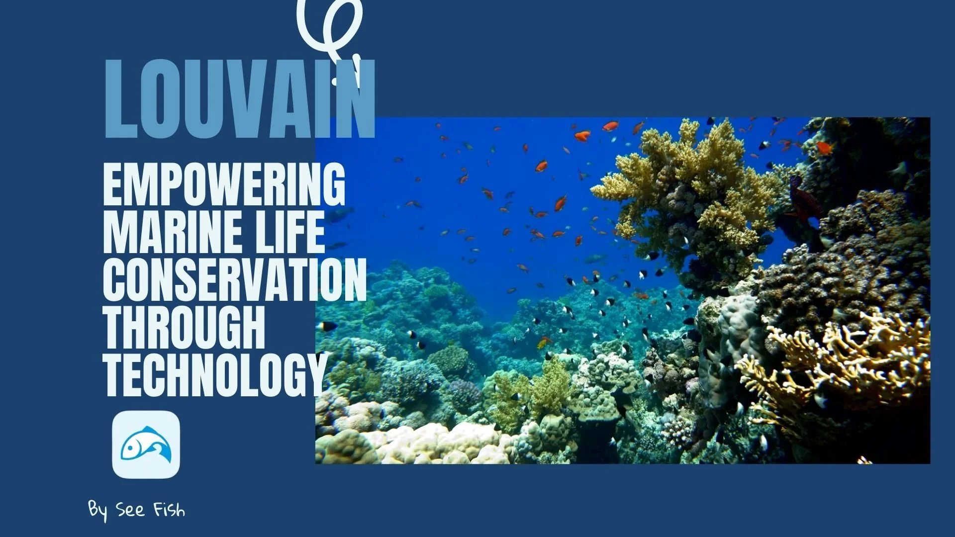 Louvain: Empowering Marine Life Conservation through Technology