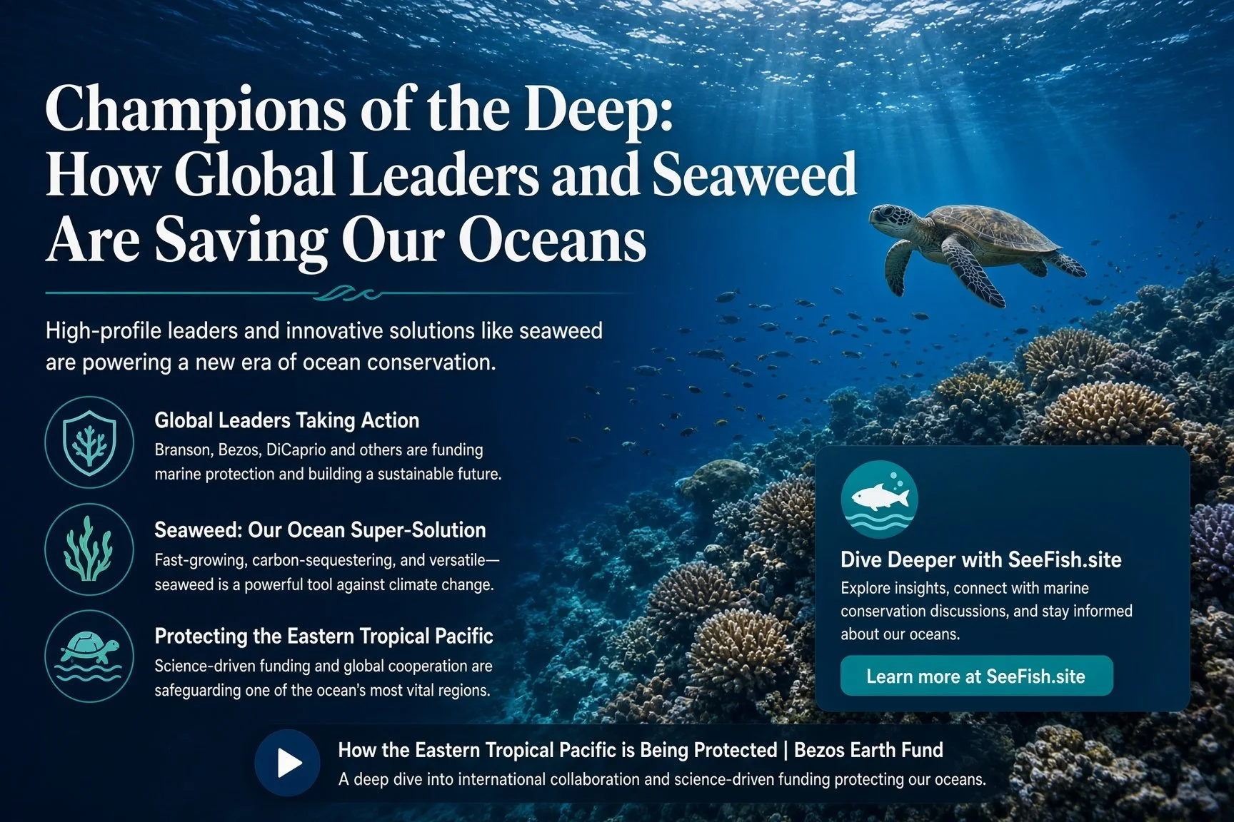 Champions of the Deep: How Global Leaders and Seaweed Are Saving Our Oceans
