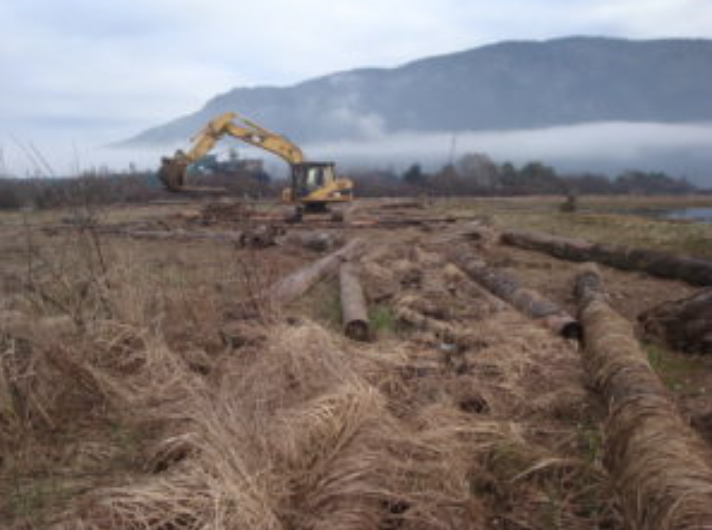 Screenshot 2023-06-15 at 12.14.26 PM.png