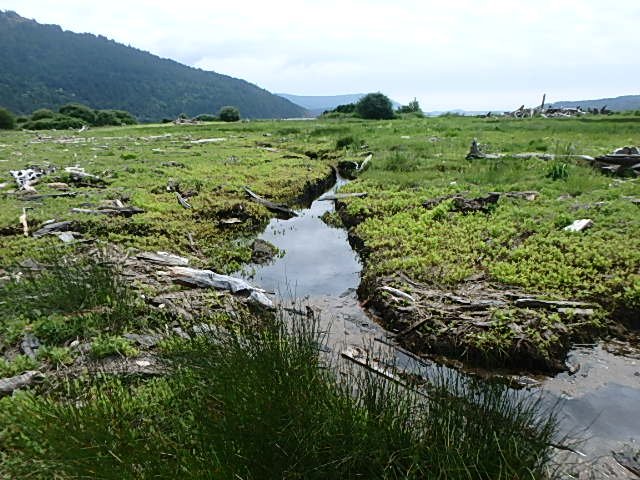 P5270056.jpg