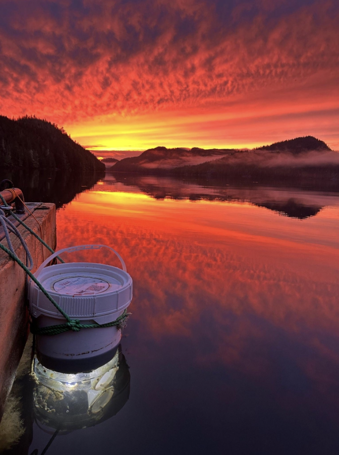 Sentinels of Change 2025 Light Trap Network Report