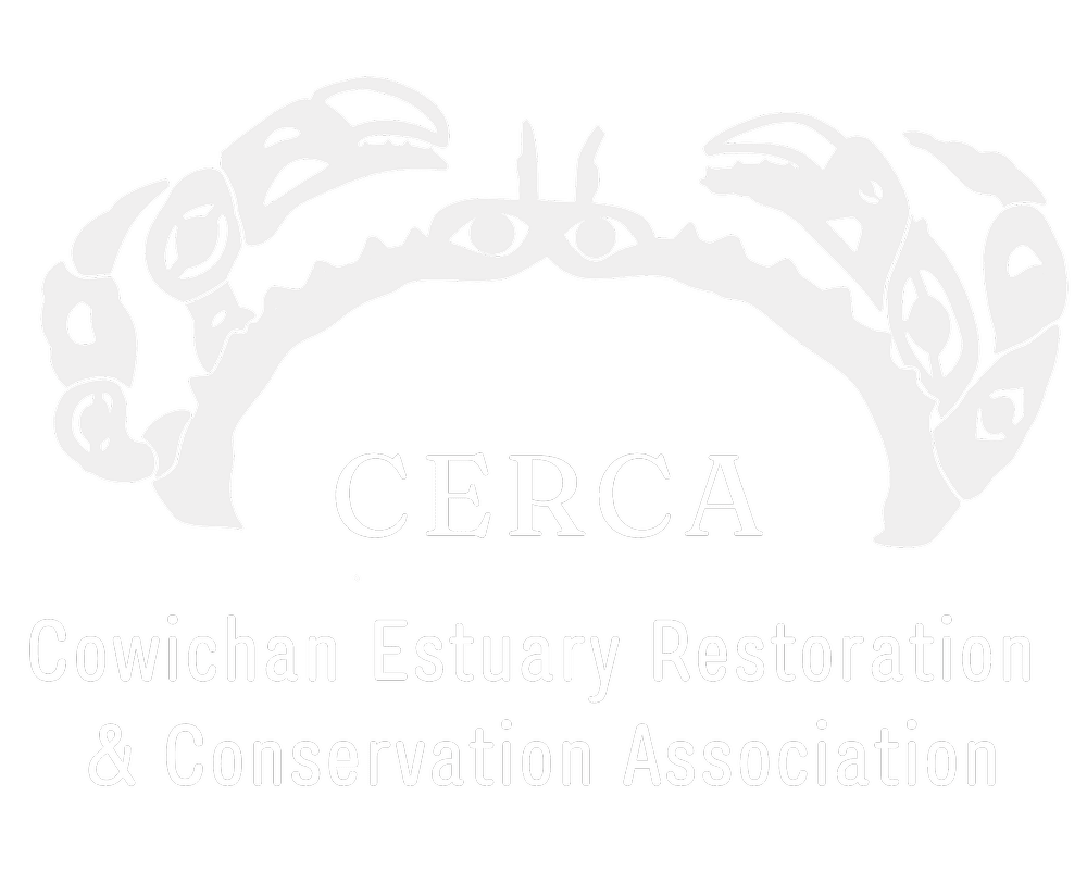 CERCA's Interactive Cowichan Estuary Map — CERCA