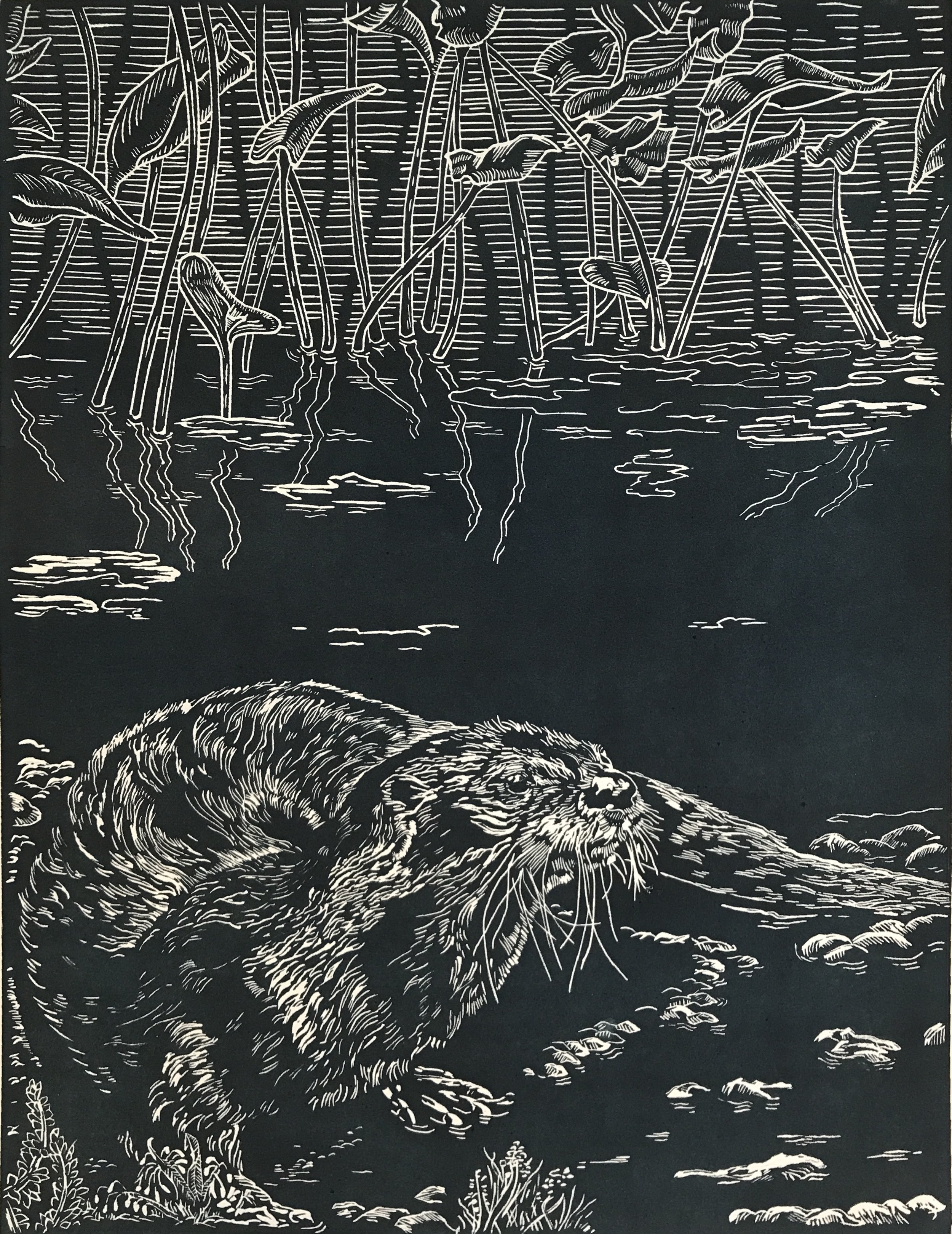 Otter 1