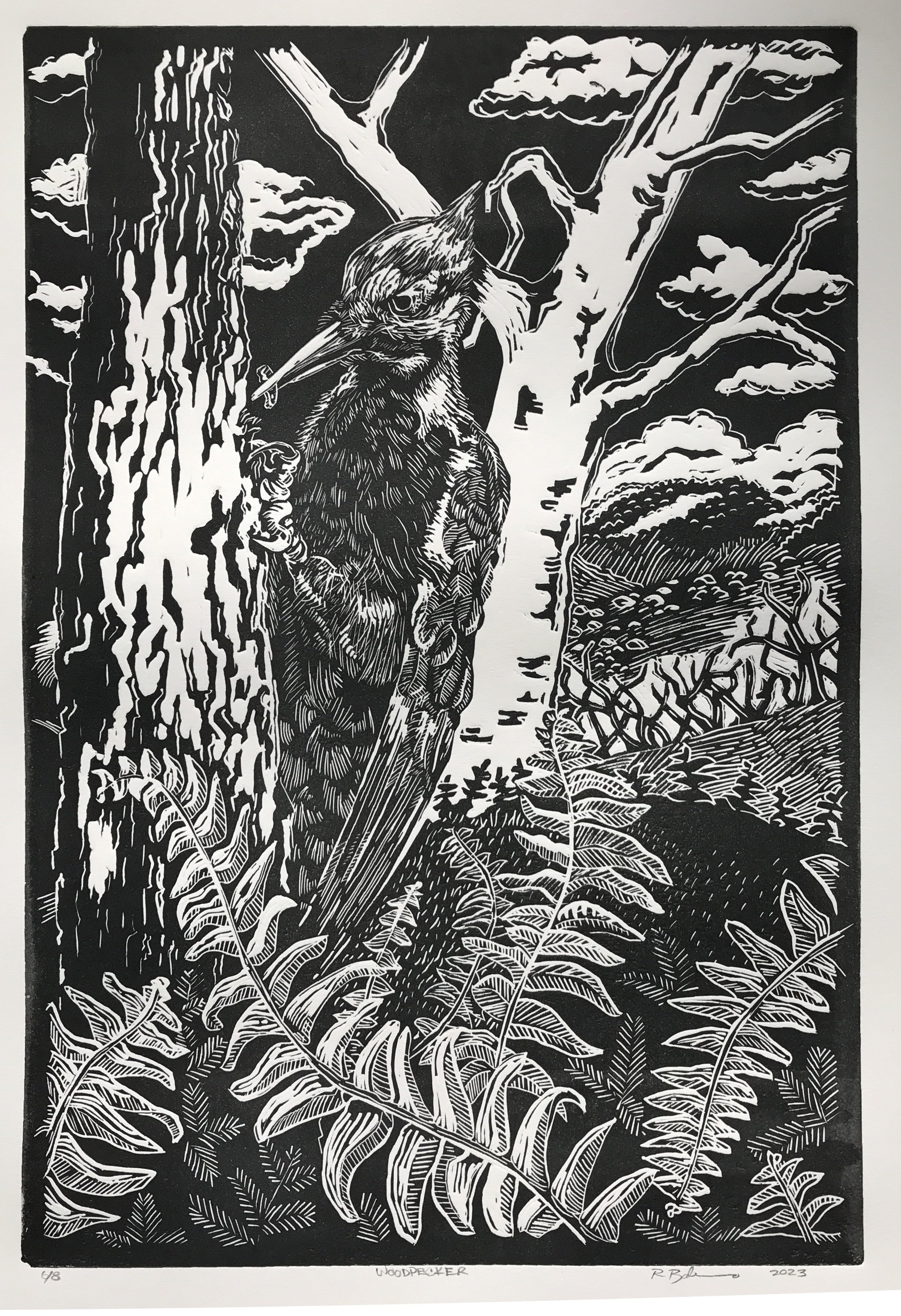 Woodpecker 1