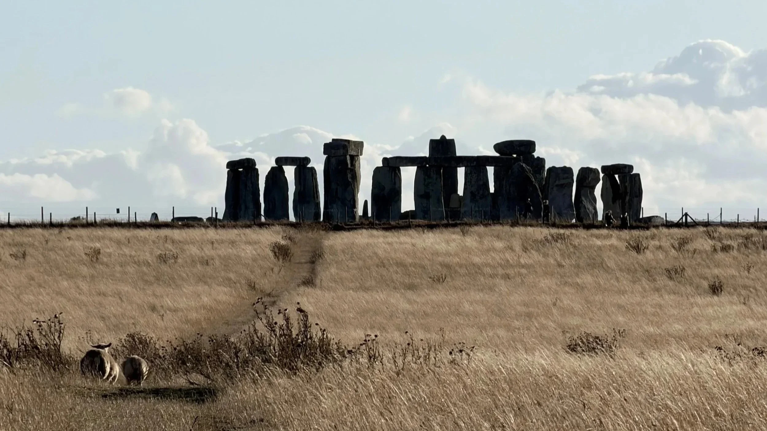stonehenge_walk.jpg