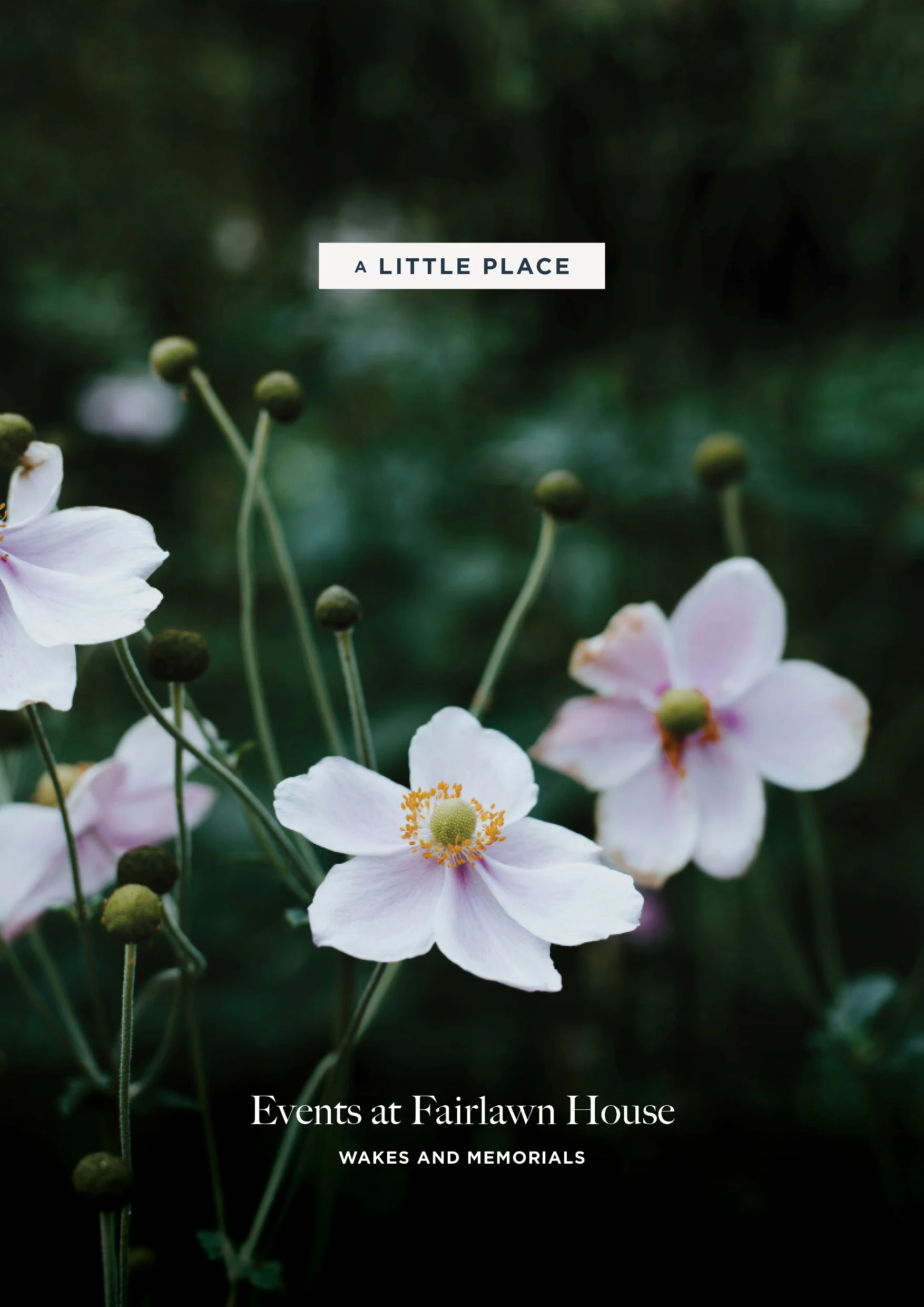 Wakes and memorials leaflet download