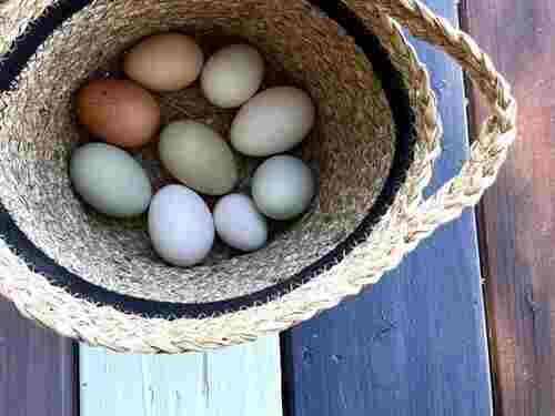 Woven basket with assorted eggs on wooden surface