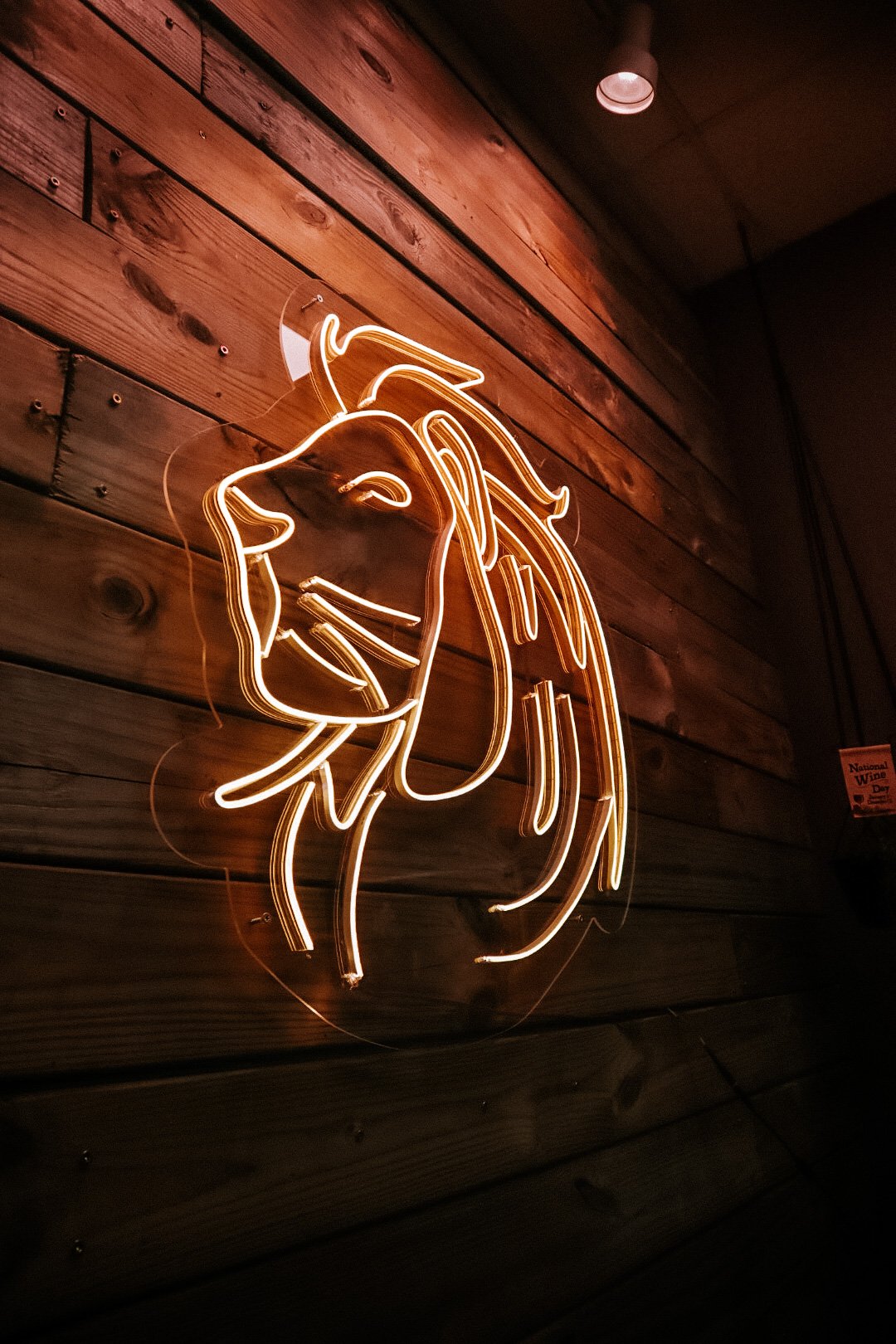  Lion Logo Light at Tame the Mane Barbershop 