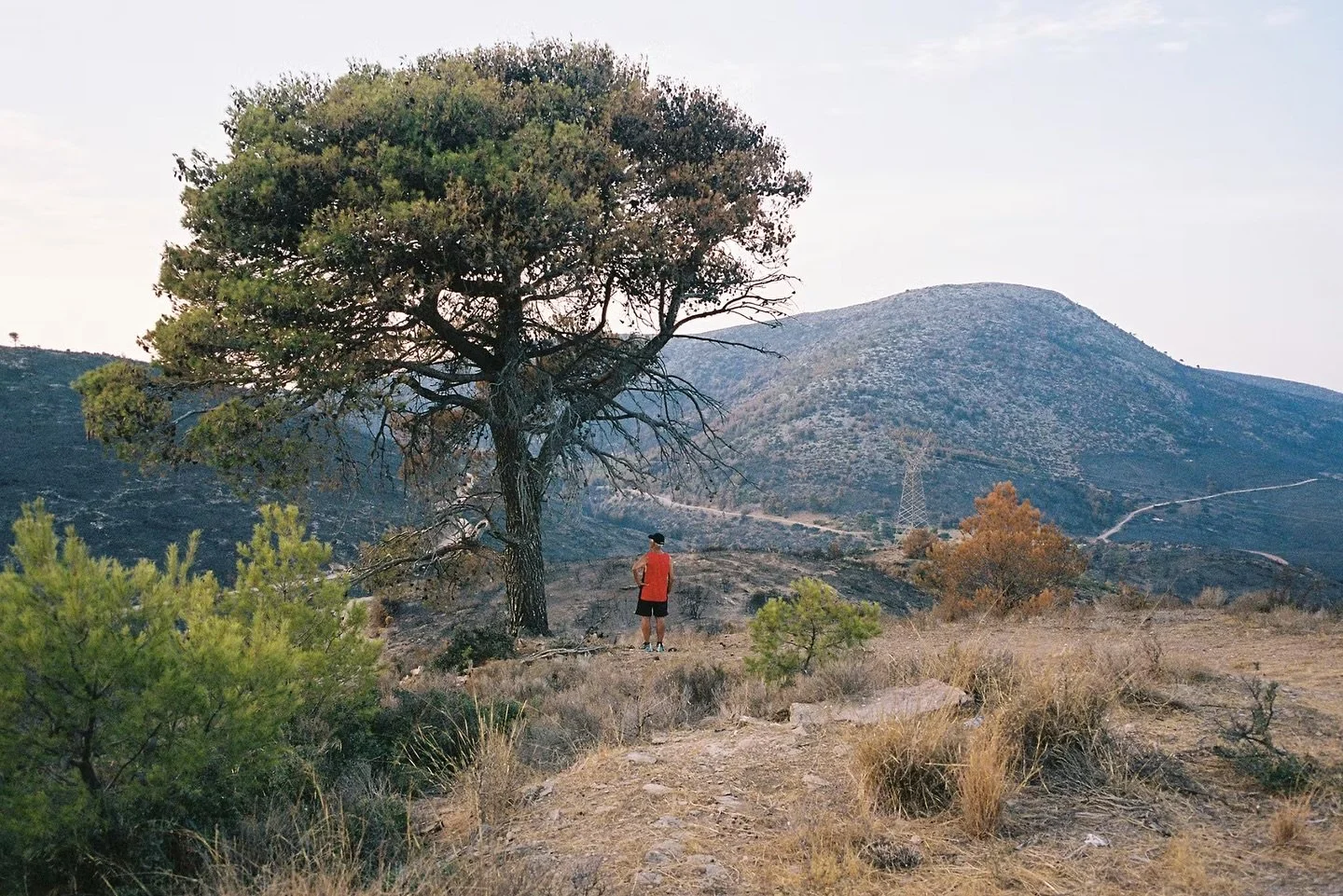 &laquo;&nbsp;The messenger&nbsp;&raquo; a story about running, from its deepest roots we discover the journey of a blind Greek runner, who pushes the limits every year running the Athenian Marathon. Just like Pheidippides did thousands of years ago.
