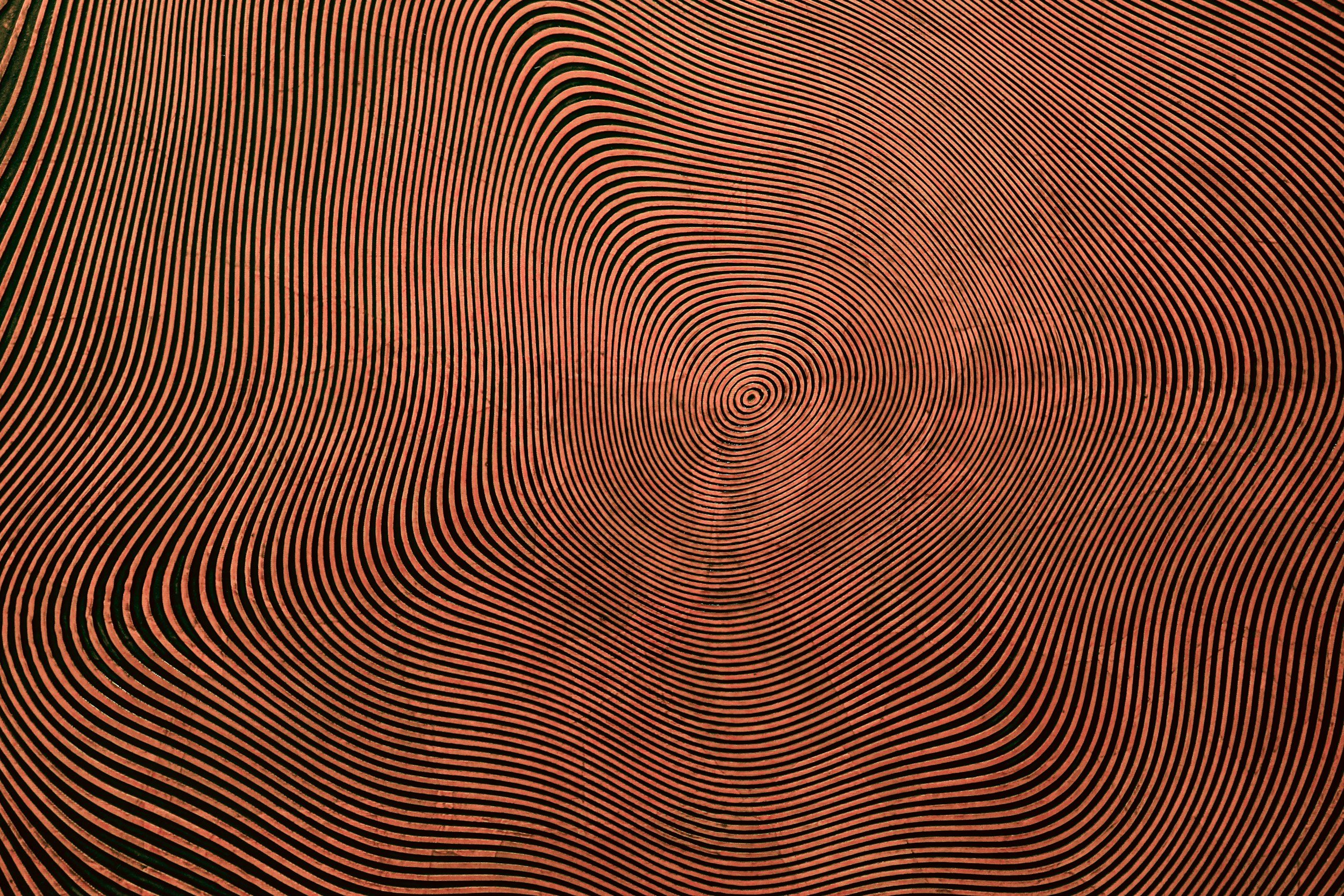 Vi arver ikke kun øjne og temperament - men hele måder at være i verden på!