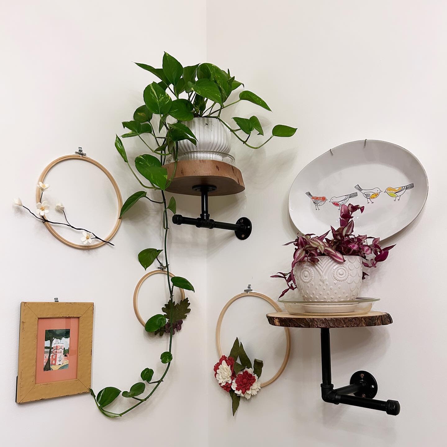 We love recycling old belongings into something useful! Pipe fittings + old cutting boards/wooden stands = gorgeous plant stands that keep them safe from 🐱🐱. #diy #reclaimed