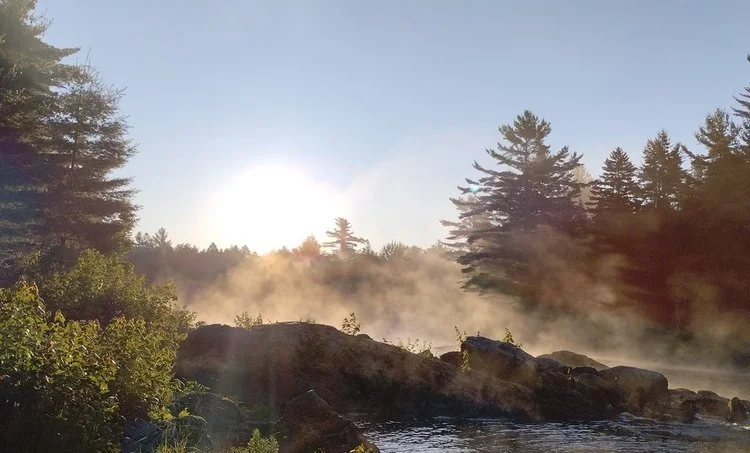 Migrations and Peat Bogs in Washington County