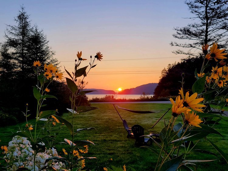 Music and Stories from Way Downeast