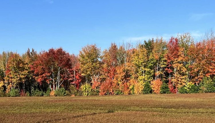 An October Postcard from Washington County