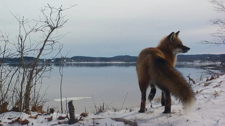 A Postcard from Washington County
