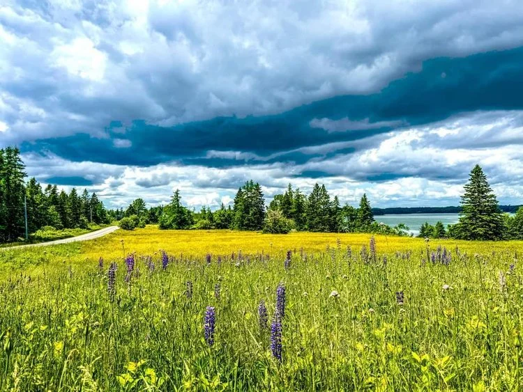A Postcard from Washington County