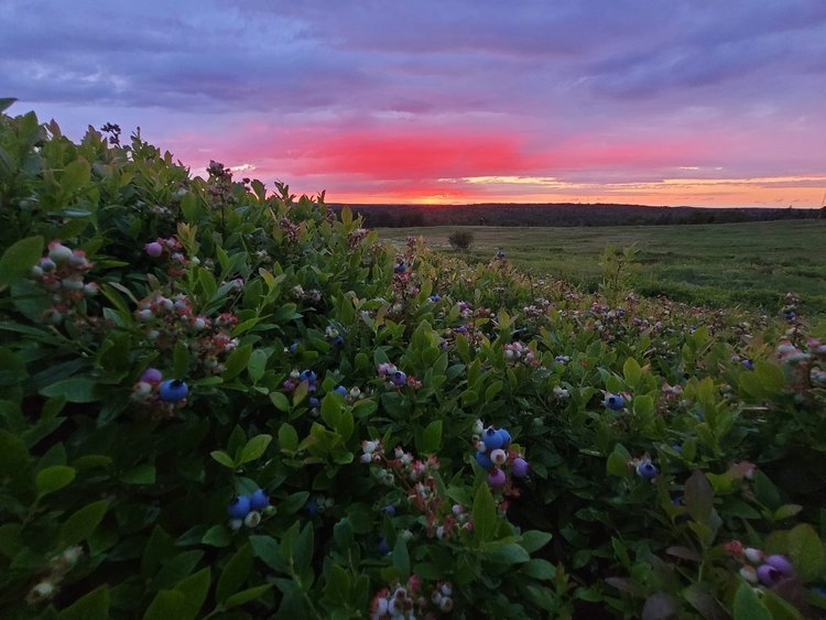 A Postcard from Washington County