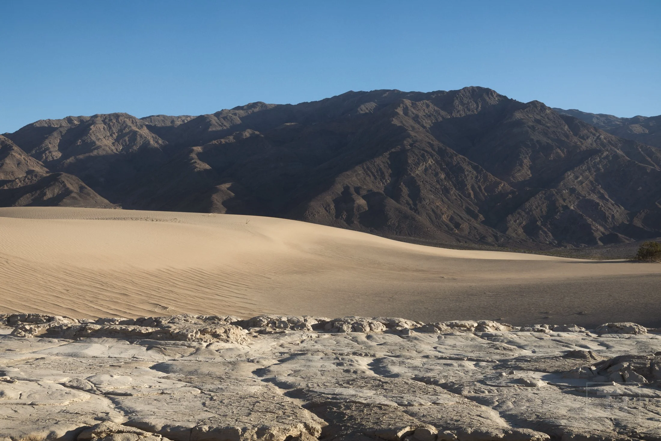 Mesquite Sand Dunes in Death Valley National Park