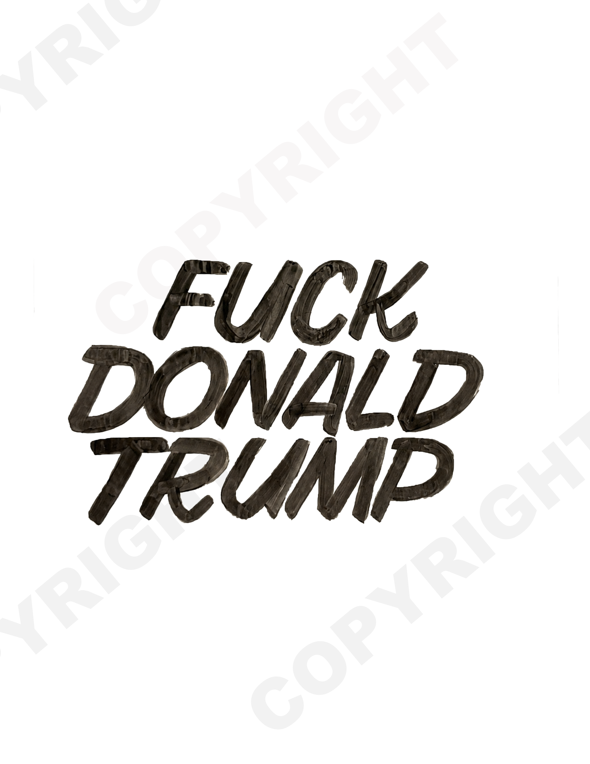 FDT_COPYRIGHT.png