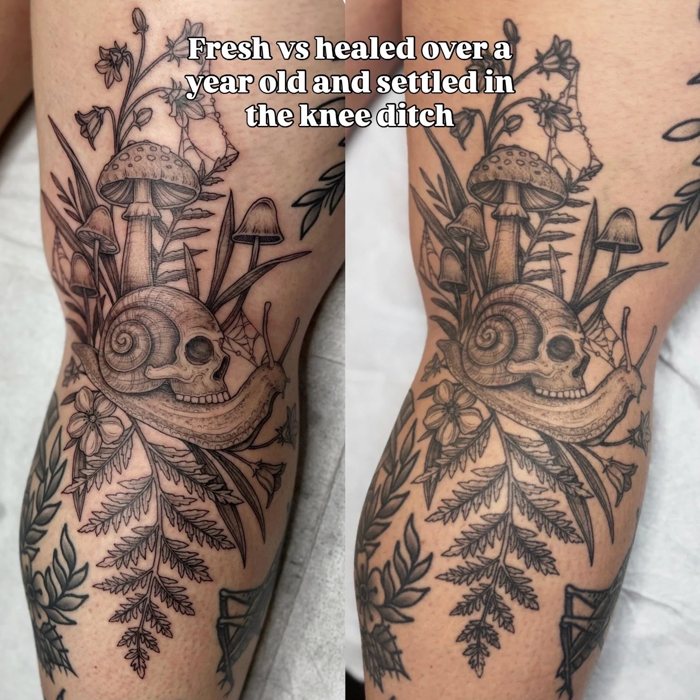 537CFFAF-7D87-451B-9572-8163A7F2B5F0.JPG