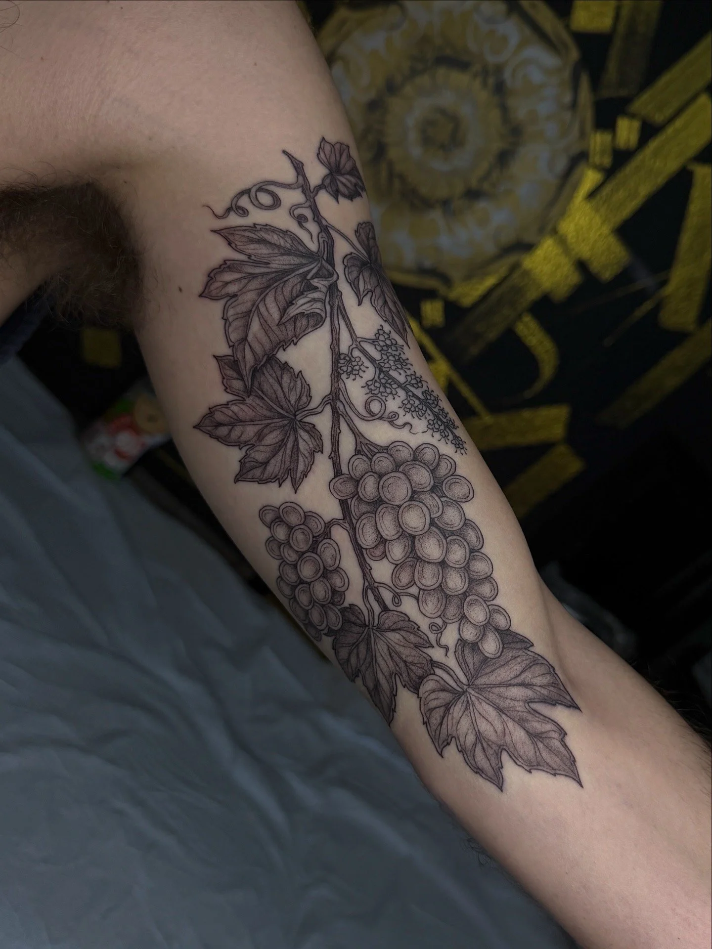 9D65A158-C657-47CE-8143-D6F7BA7967B1.JPG