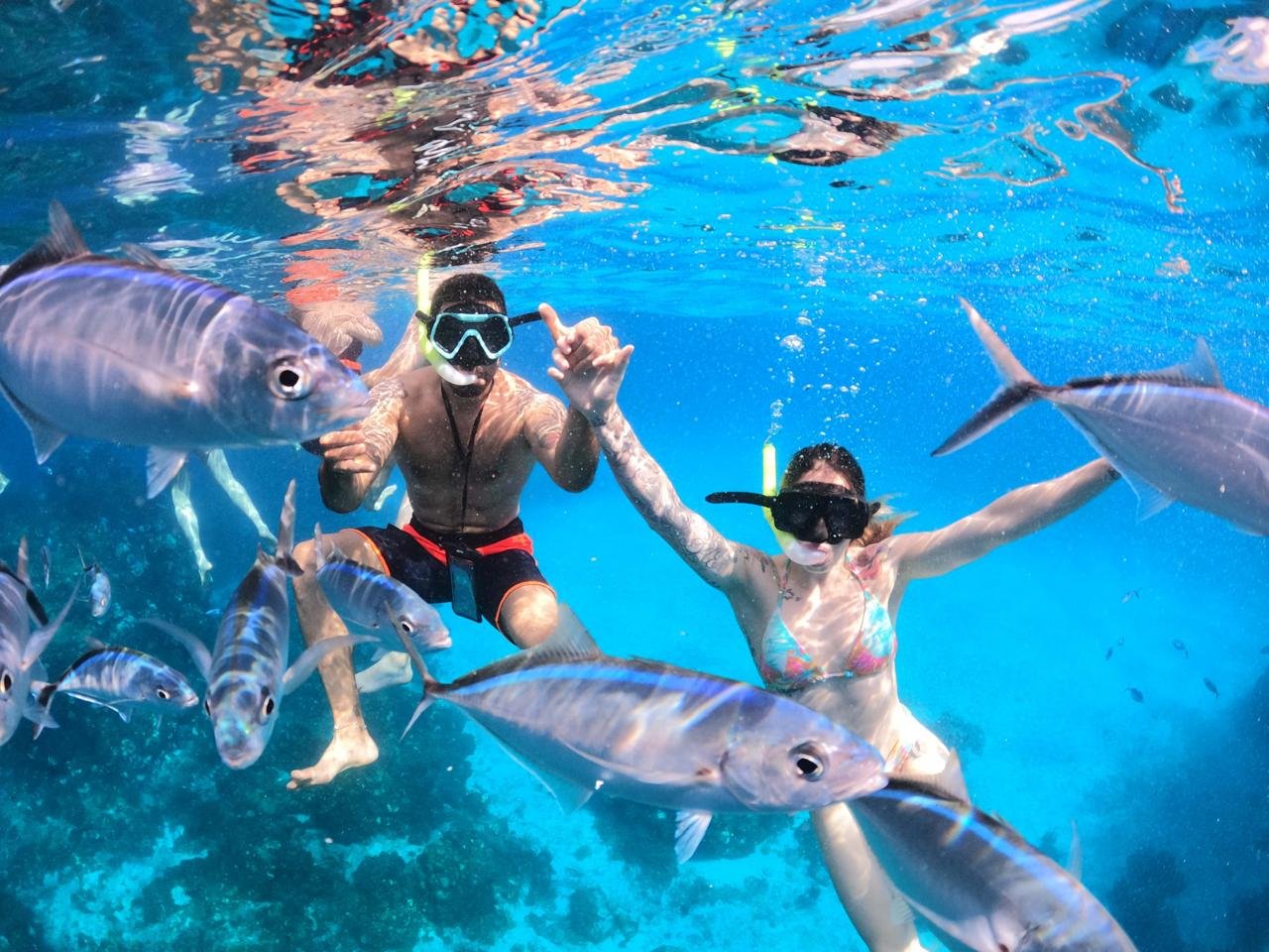 Cozumel Snorkeling - Cozumel Island Transfers4.jpeg