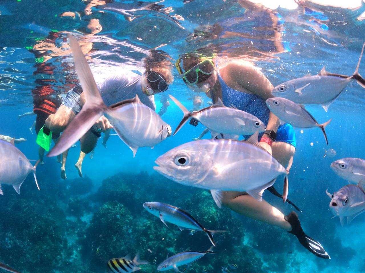 Cozumel Snorkeling - Cozumel Island Transfers3.jpeg