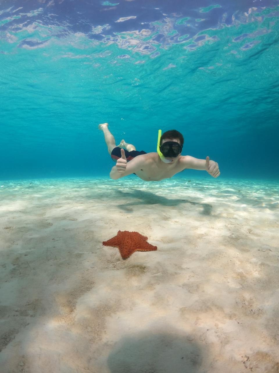 Cozumel Snorkeling - Cozumel Island Transfers5.jpeg