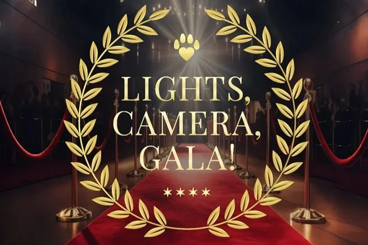 Evening of Dreams - Gala &amp; Auction