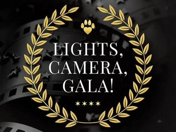 Evening of Dreams - Gala &amp; Auction