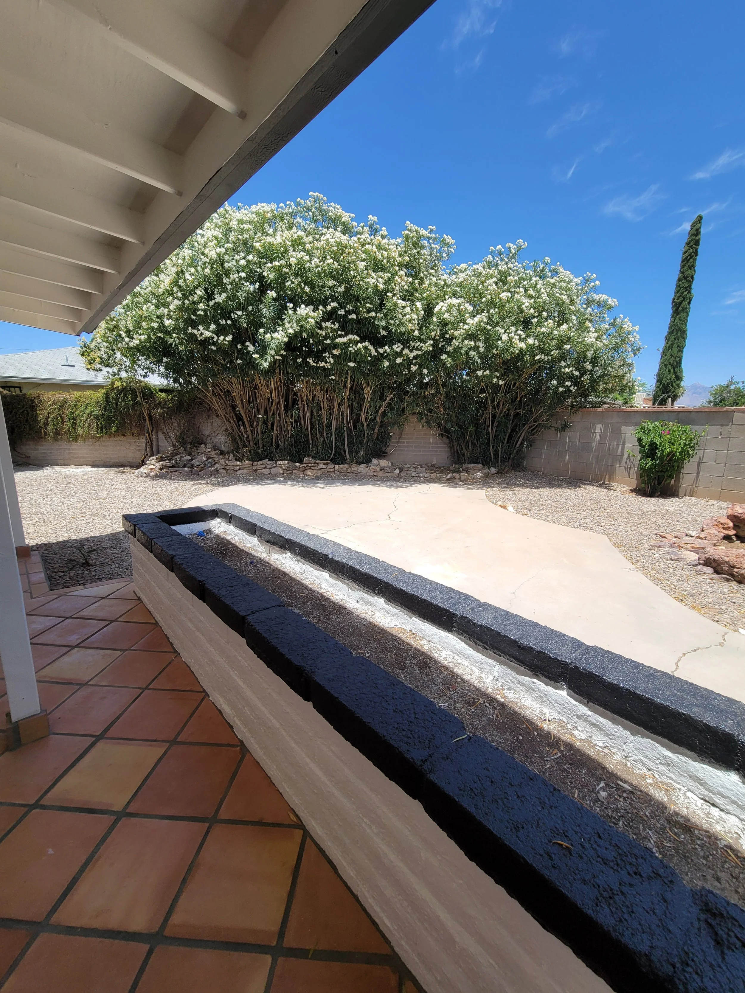 pinevalleybackyard.jpg