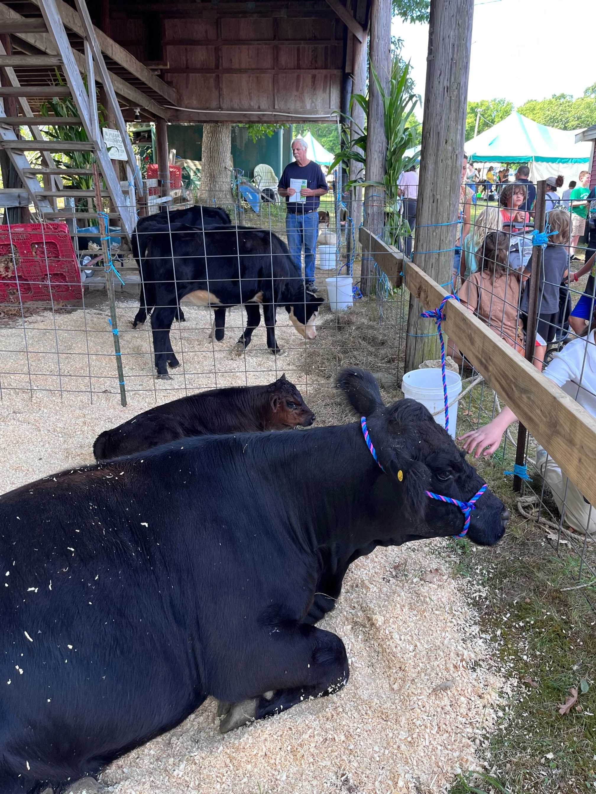 About 1 — East Middleboro 4H