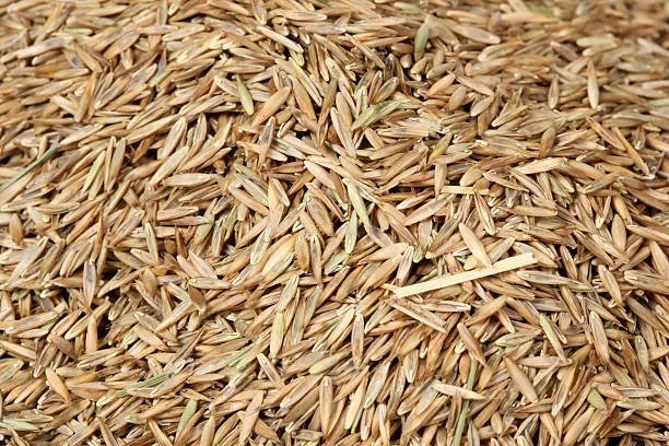grass seed pile close up