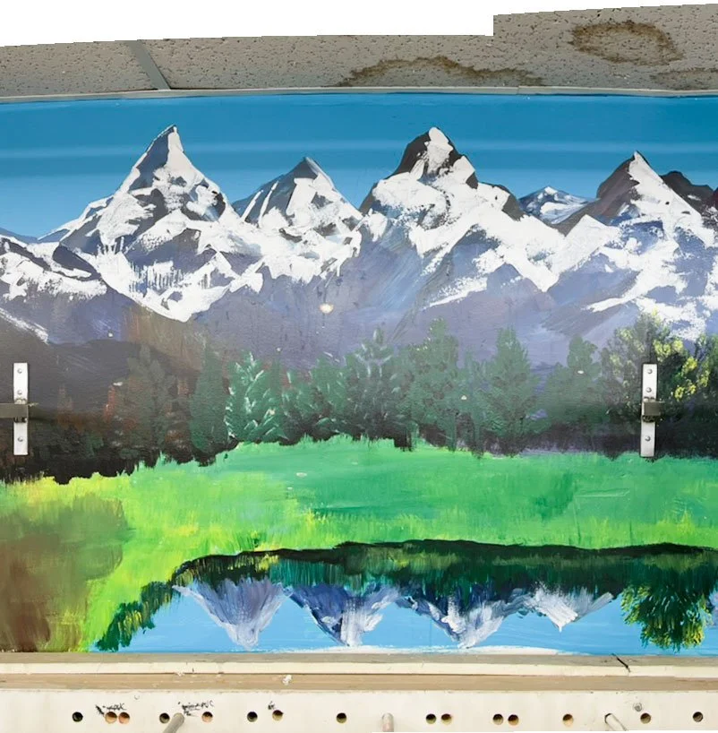snow capped mountains in background, green forest leading into meadow with small lake reflecting mountains in foreground