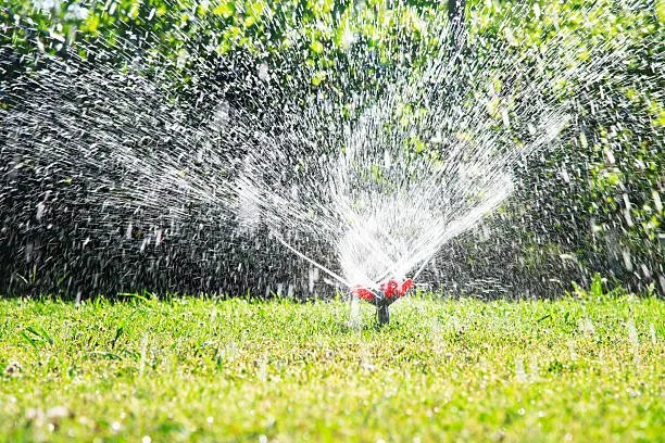 sprinkler spraying water over lawn