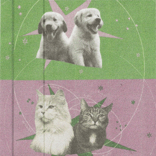 Instagram post - 71.gif