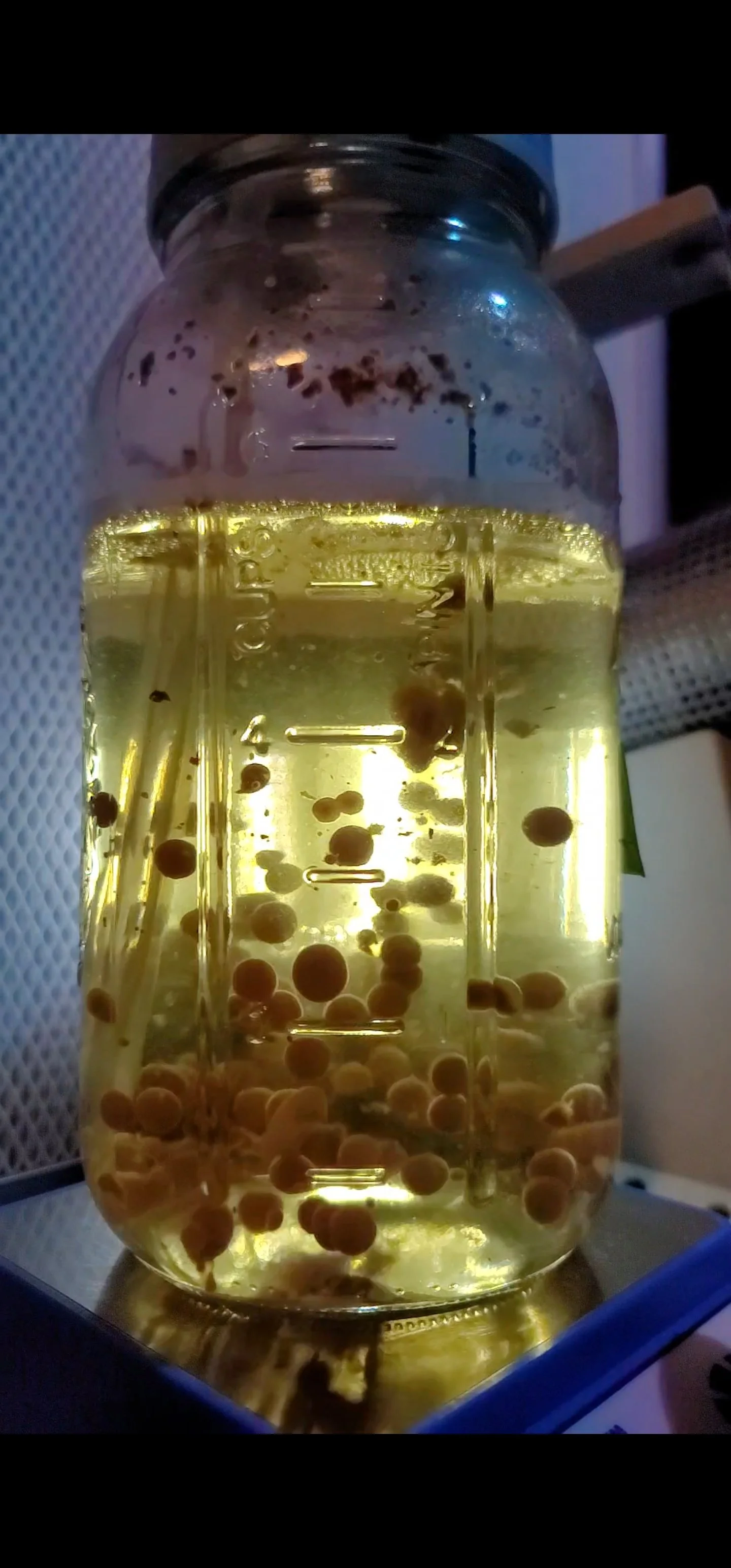 Liquid Culture Subscription