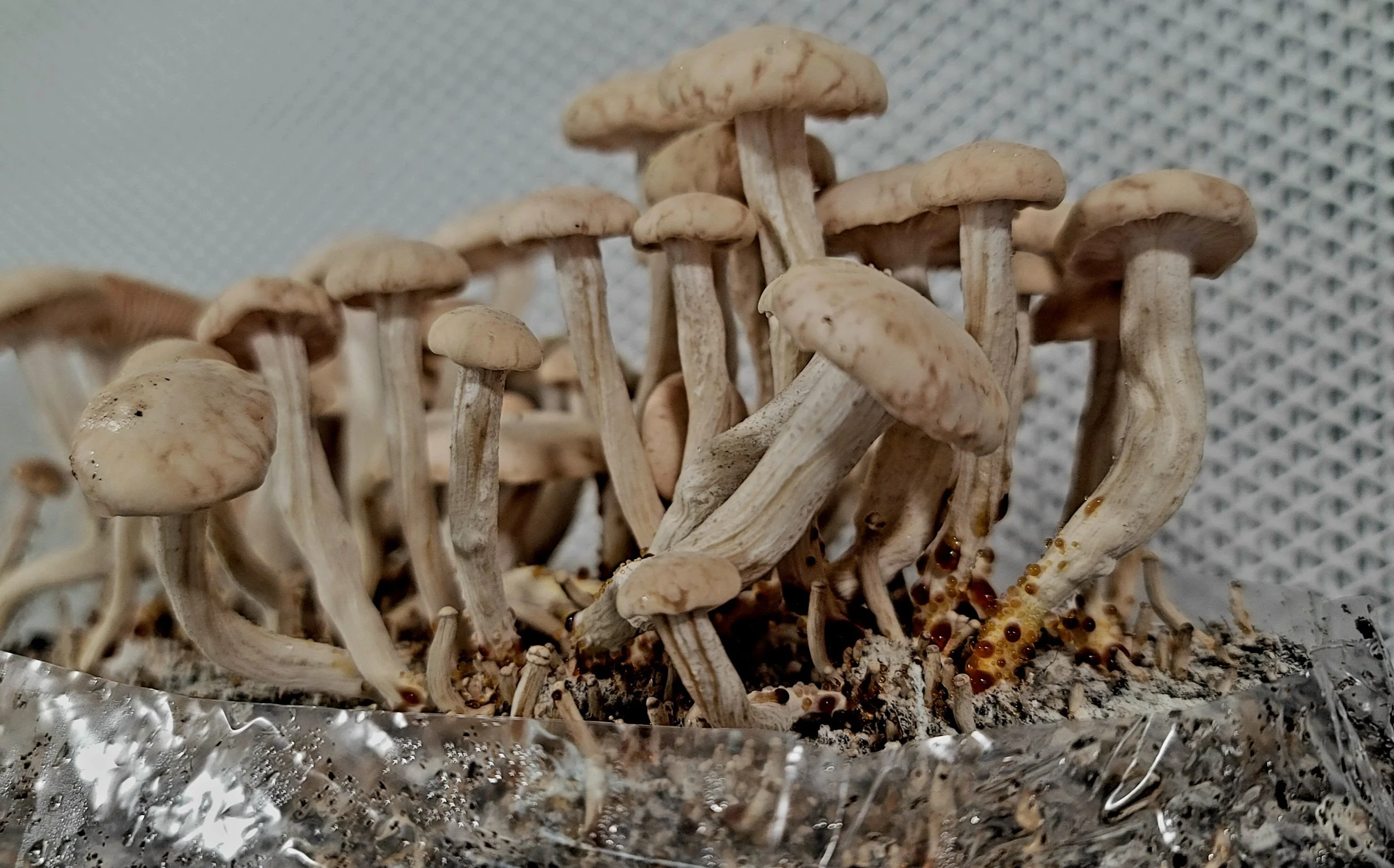 20240925_121641 (1).jpg