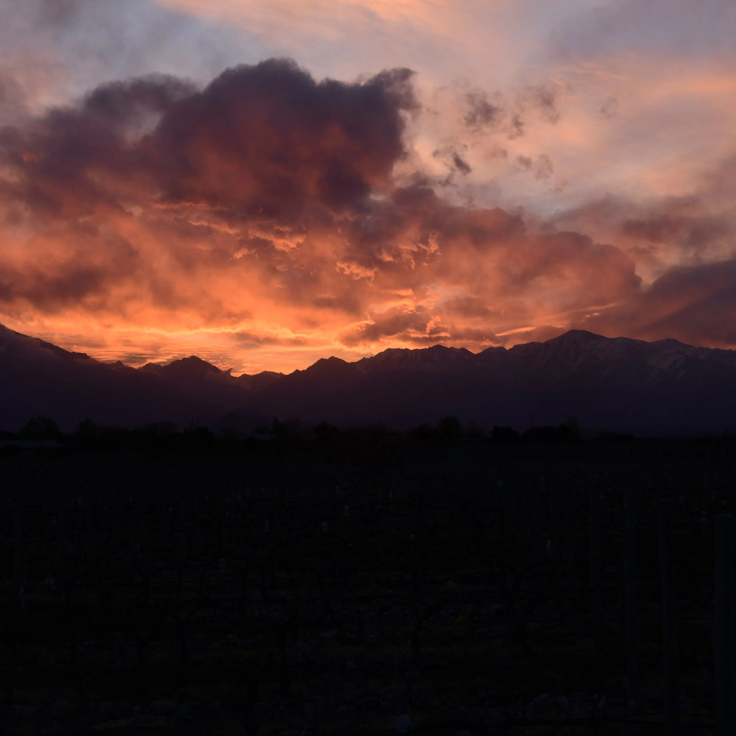 Finca La Ramada, Sunset from the Patio