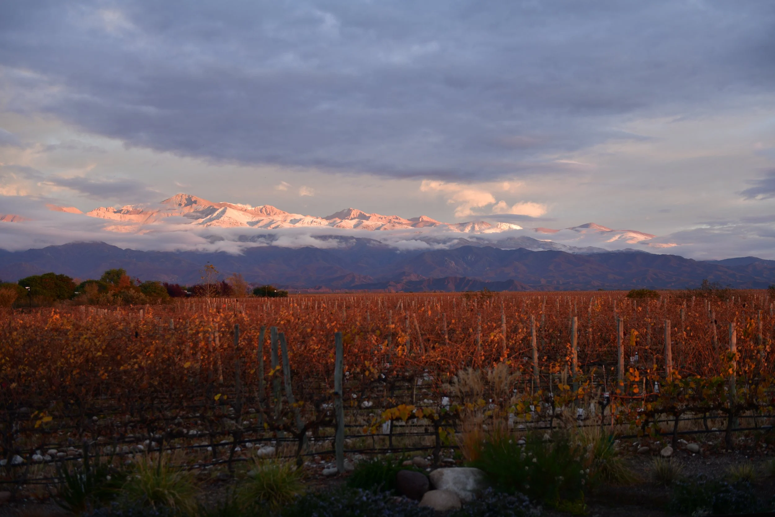 Finca La Ramada, Fall sunrise