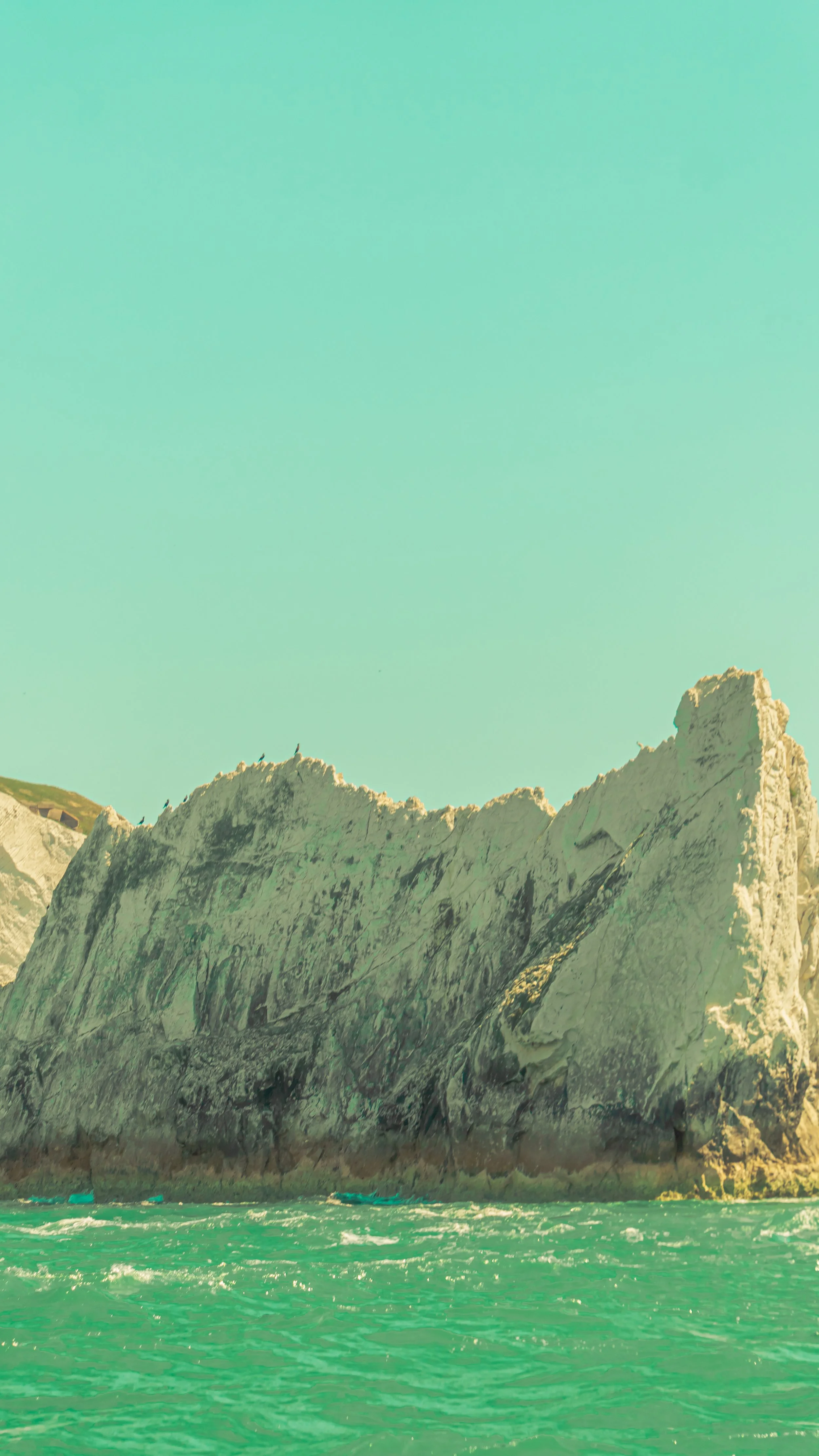 Large rocky island with seagulls perched on top, surrounded by turquoise water under a clear sky.